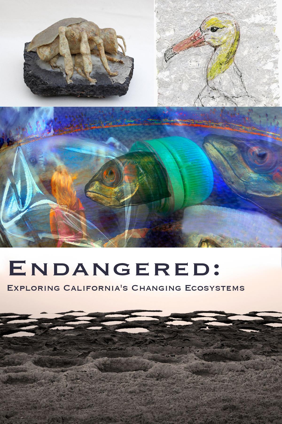 Endangered: Exploring California's Changing Ecosystems